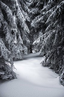 FOTKA - Zimn putovn po Pustevnch a jejich okol