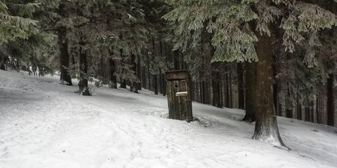 FOTKA - Zimn putovn po Pustevnch a jejich okol