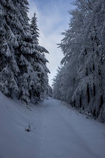 FOTKA - Zimn putovn po Pustevnch a jejich okol