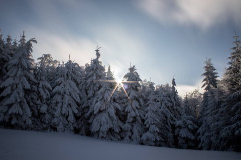 FOTKA - Zimn putovn po Pustevnch a jejich okol