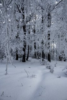 FOTKA - Zimn putovn po Pustevnch a jejich okol