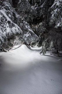 FOTKA - Zimn putovn po Pustevnch a jejich okol