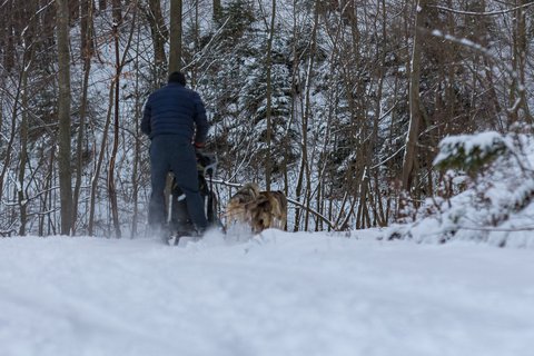 FOTKA - Zimn putovn po Pustevnch a jejich okol