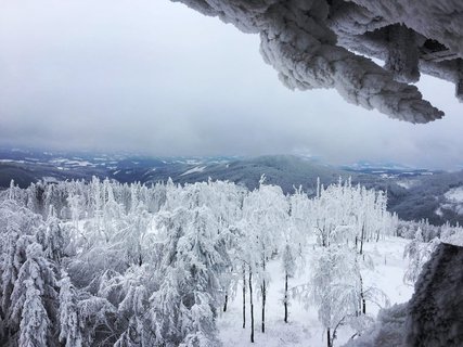 FOTKA - Zimn Velk Javornk