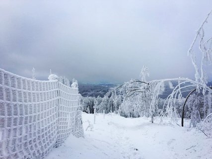 FOTKA - Zimn Velk Javornk