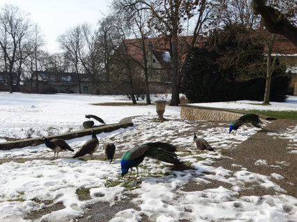 FOTKA - Ploskovice - zmek a park