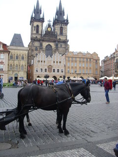FOTKA - Sthovn do Prahy