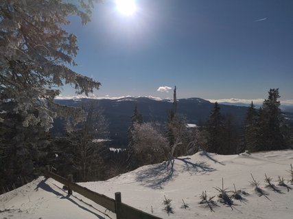 FOTKA - Lanovkou nahoru a pky dol