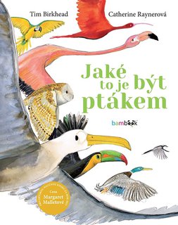 FOTKA - Jak to je bt ptkem