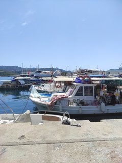 FOTKA - Kas - potpsk rj