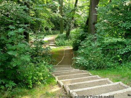 FOTKA - Zmeck park Vlaim