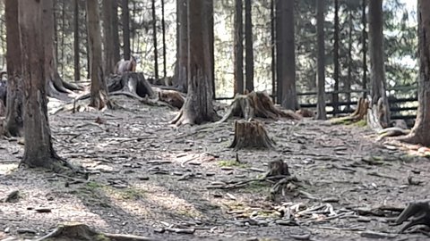 FOTKA - Bl  vlet k urbskmu klauzu, prameni Smradlav i do Obrky Bl