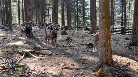 FOTKA - Bl  vlet k urbskmu klauzu, prameni Smradlav i do Obrky Bl