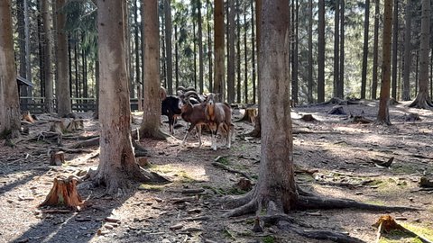 FOTKA - Bl  vlet k urbskmu klauzu, prameni Smradlav i do Obrky Bl