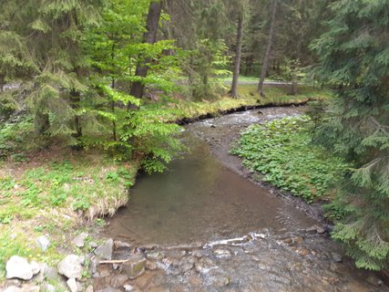 FOTKA - Bl  vlet k urbskmu klauzu, prameni Smradlav i do Obrky Bl