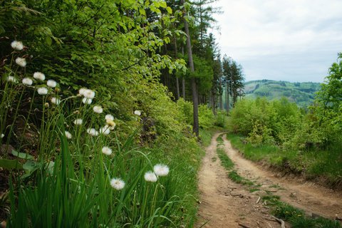 FOTKA - Pehrada Bystika a Svantovtova skla