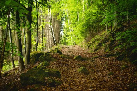 FOTKA - Pehrada Bystika a Svantovtova skla