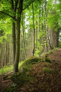 FOTKA - Pehrada Bystika a Svantovtova skla