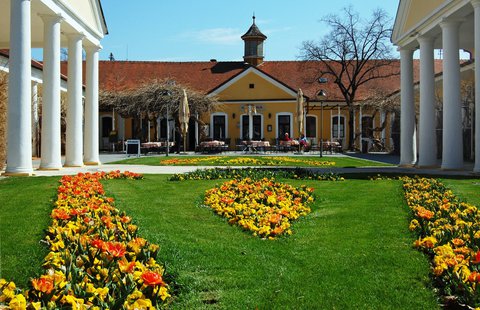 FOTKA - Muchova cesta: Objevte originln dla slavnho male v Pieanech