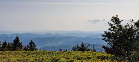 FOTKA - Nae nvtva Kysuckch Beskyd