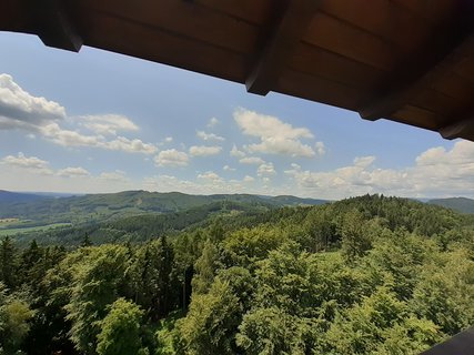 FOTKA - Rapotn a rozhledna Bukovka