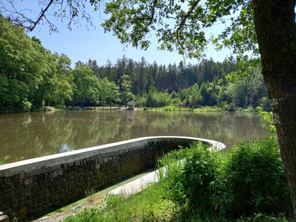 FOTKA - Ha ty svatej Vavineku