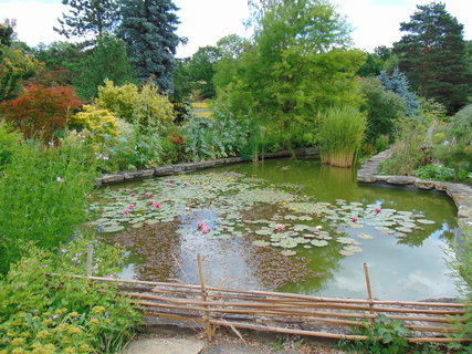 FOTKA - Botanick zahrada Teplice