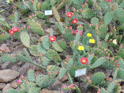 FOTKA - Botanick zahrada Teplice