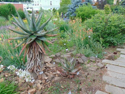 FOTKA - Botanick zahrada Teplice