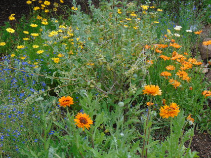 FOTKA - Botanick zahrada Teplice