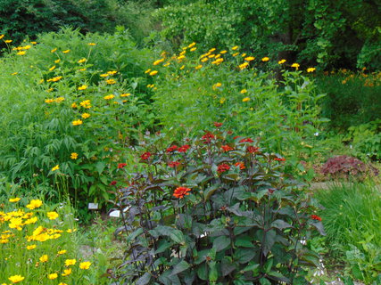 FOTKA - Botanick zahrada Teplice