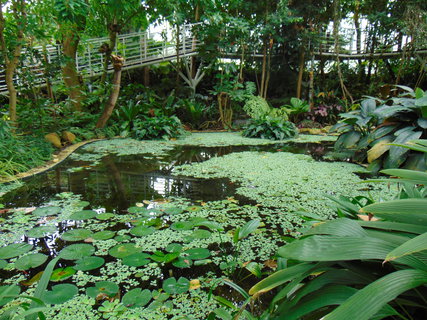 FOTKA - Botanick zahrada Teplice