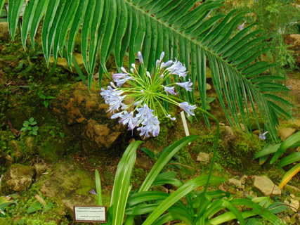 FOTKA - Botanick zahrada Teplice