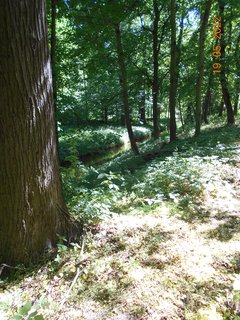 FOTKA - Zmeck park ve Veltrusch - perla dolnho Povltav