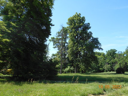 FOTKA - Zmeck park ve Veltrusch - perla dolnho Povltav
