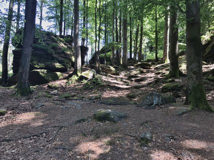 FOTKA - rsk vrchy maj svj Karltejn