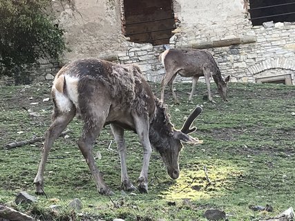 FOTKA - Lue a hrad Koumberk