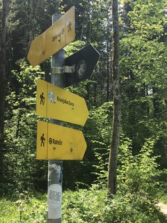 FOTKA - Zelenci  slovinsk prodn rezervace