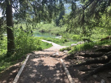 FOTKA - Zelenci  slovinsk prodn rezervace