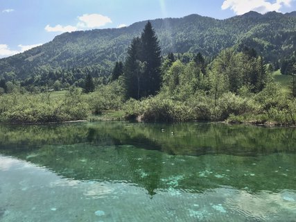 FOTKA - Zelenci  slovinsk prodn rezervace