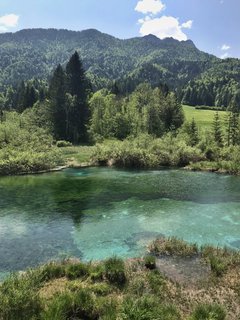 FOTKA - Zelenci  slovinsk prodn rezervace