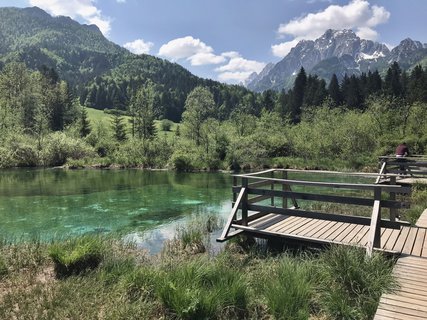 FOTKA - Zelenci  slovinsk prodn rezervace