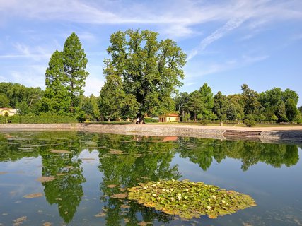 FOTKA - Byice, zmek Liblice