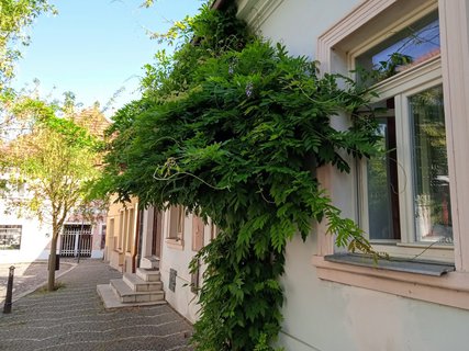FOTKA - Vlet za poznnm