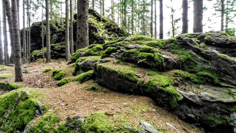 FOTKA - Rozhledna na Sedle - nae milovan umava