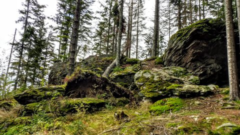 FOTKA - Rozhledna na Sedle - nae milovan umava