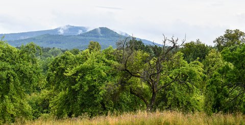 FOTKA - Lipovou alej k zmku Lemberk