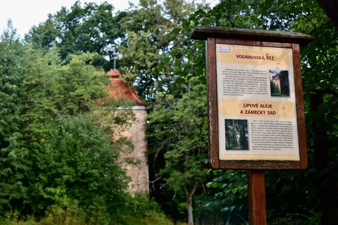 FOTKA - Lipovou alej k zmku Lemberk
