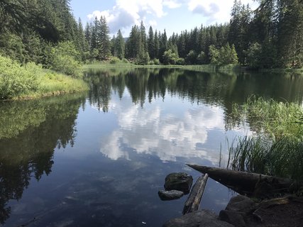 FOTKA - Vrbick pleso