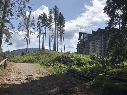 FOTKA - Vrbick pleso